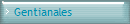 Gentianales