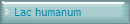 Lac humanum